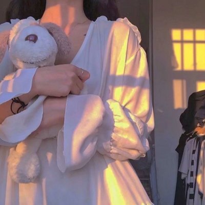 戏命师之飞天神兽